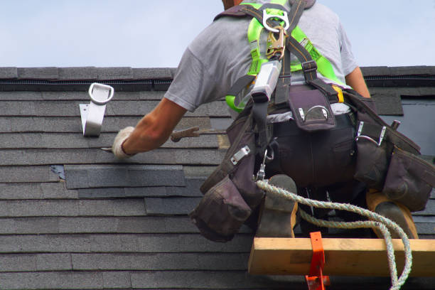 Best Roof Insulation Installation  in Round Lake Heights, IL